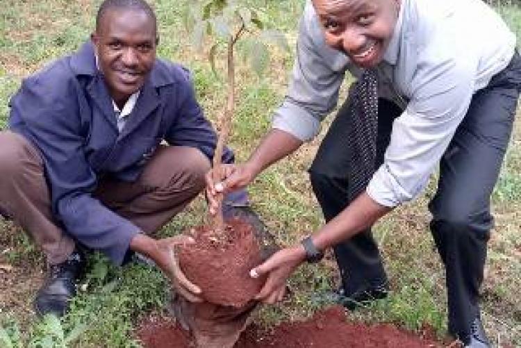 Mr. Muthii Participate with fellow staff in tree planting