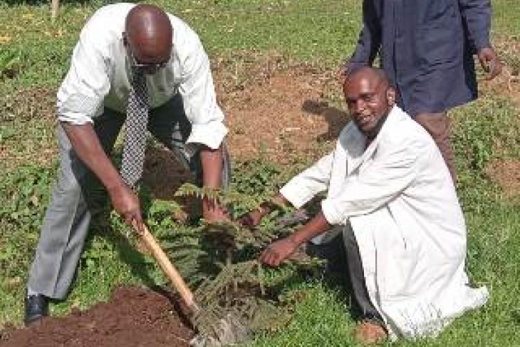 UHS Hospital Administrator MR. Gathuka and Office Assistants participate in planting a tree