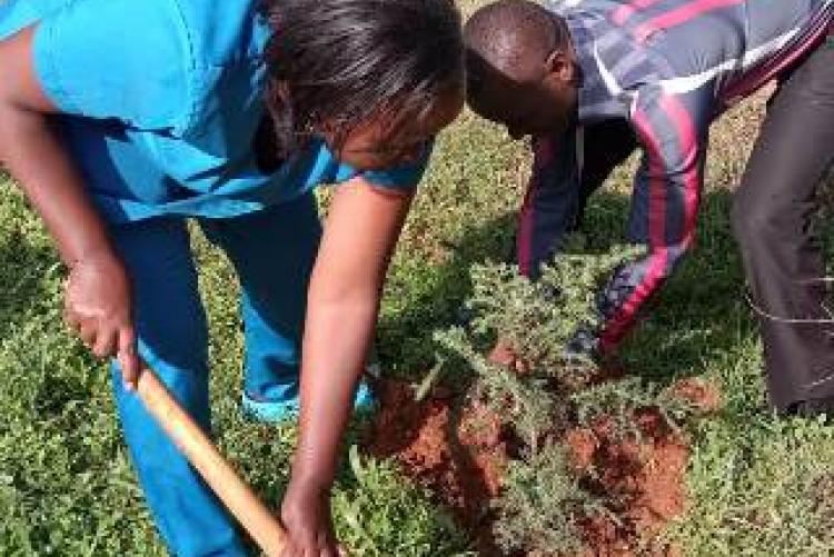 Uhs Nurse participate in tree planting