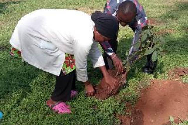 Records in charge Mr. Allan and Theater Assistant MS Saida Plant a tree
