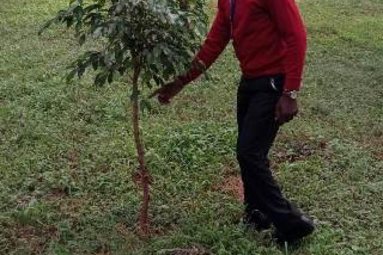 Records In charge  Mr. Allan Participates in tree planting