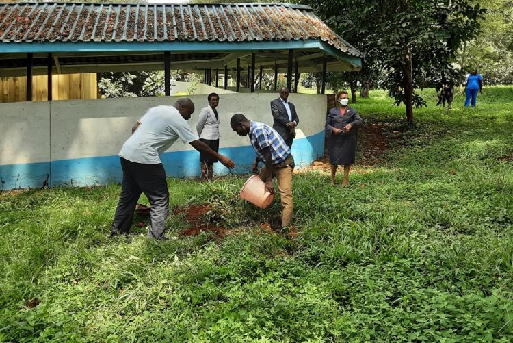 Baraza Watering the tree after planting